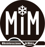 Mikrointeracciones Logo